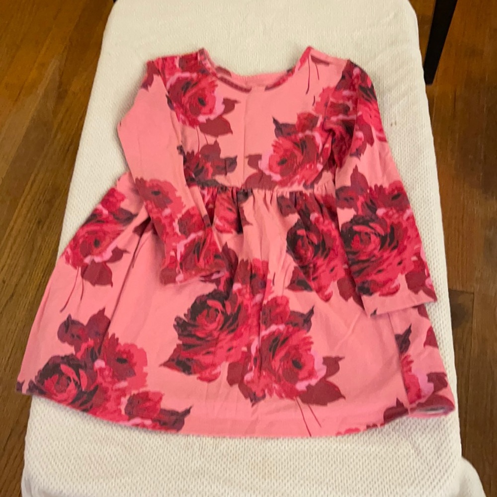 Gap Kids long sleeve play dress roses. Size small